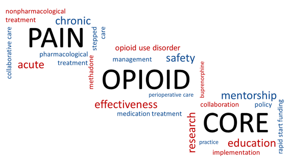 Pain Opioid CORE Word Cloud